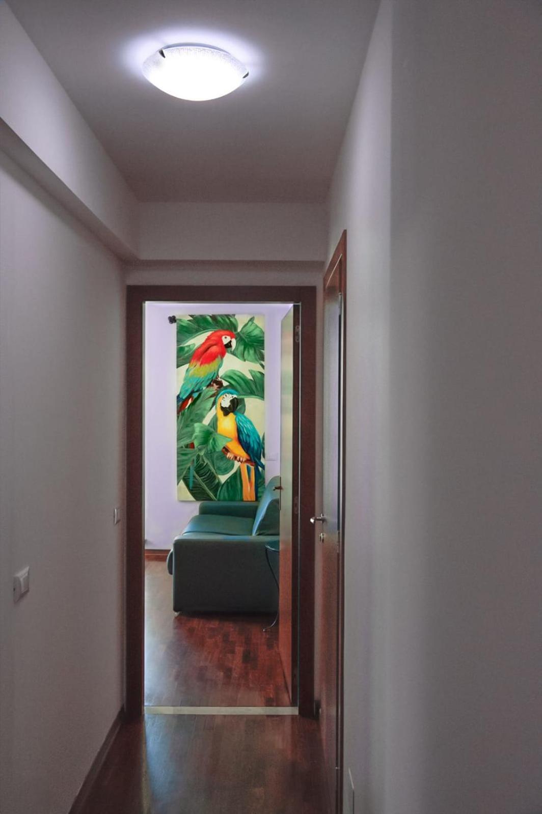 Amanti Due Apartments Verona Esterno foto